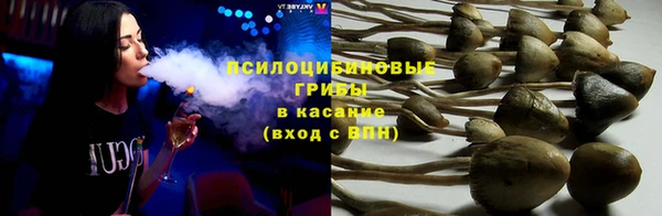 бошки Алзамай