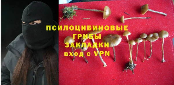 бошки Алзамай