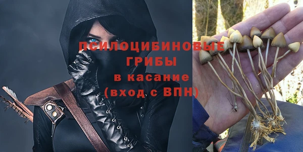 хмурый Алексеевка