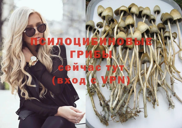 хмурый Алексеевка