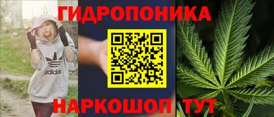 амф Пушкино
