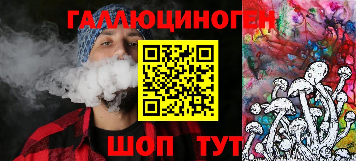 Псилоцибиновые грибы Psilocybe Южно-Сахалинск